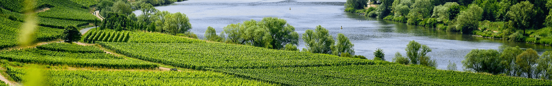 Domaine Vaïsse