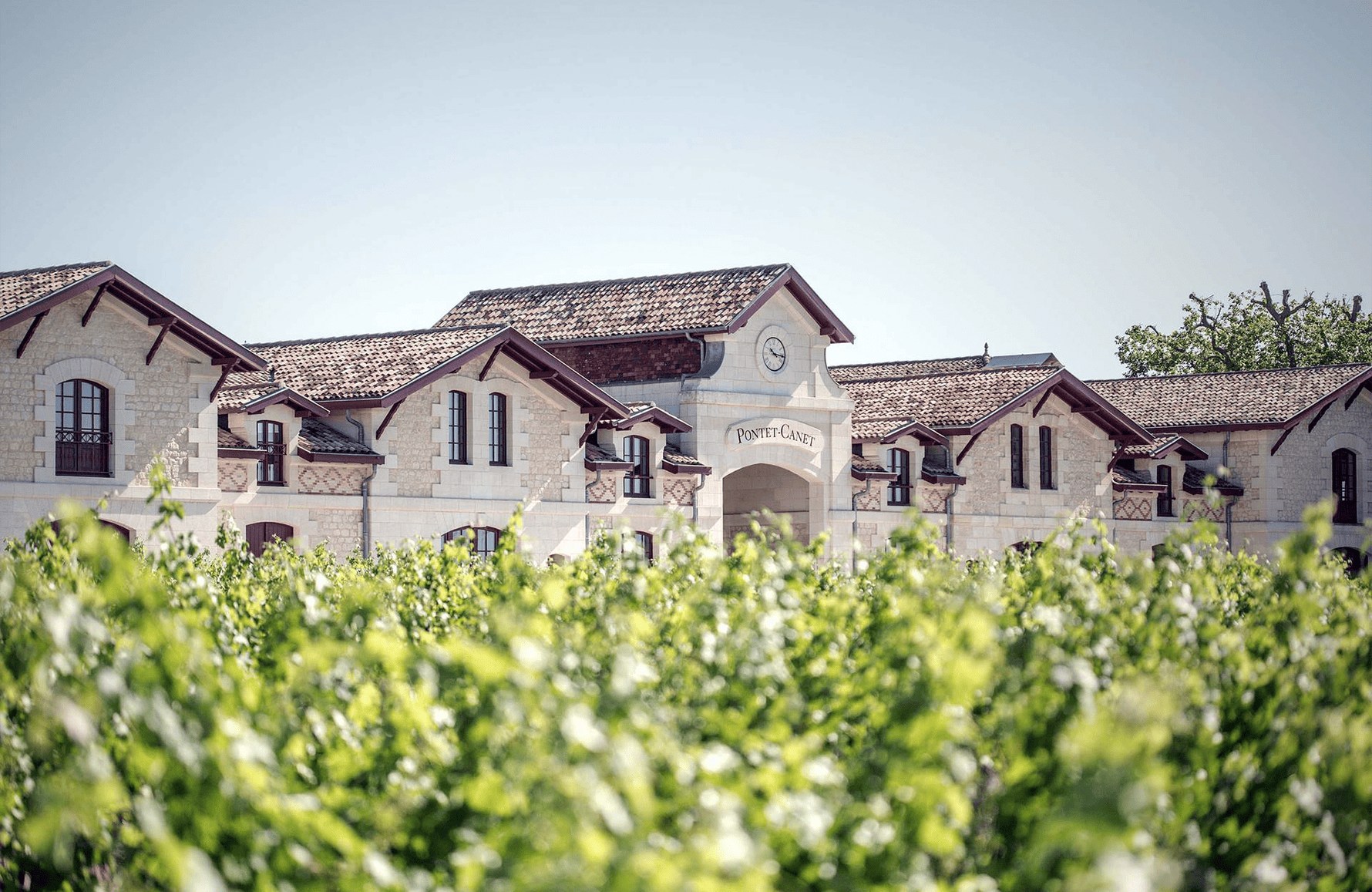Château Pontet-Canet