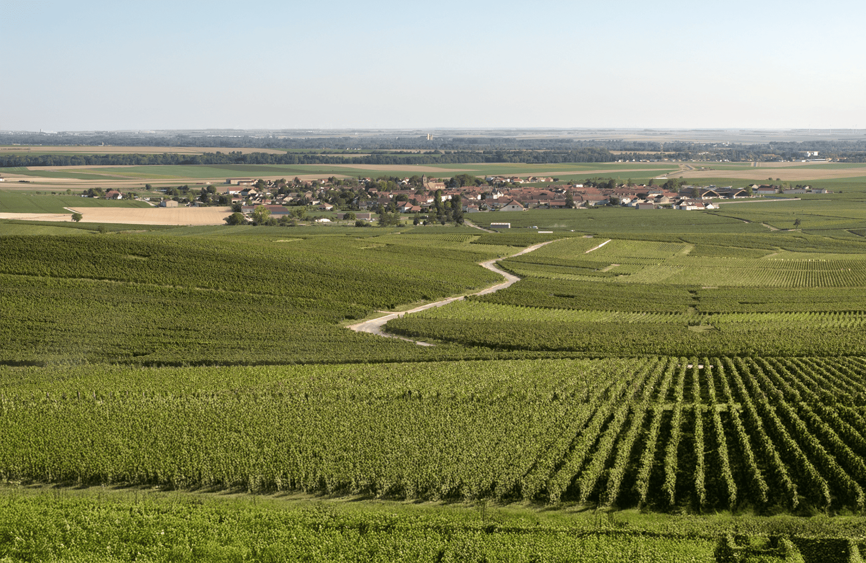 the story of Champagne Charles Heidsieck