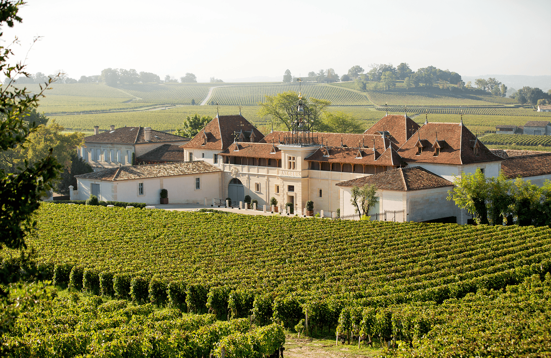 the story of Angelus Castle