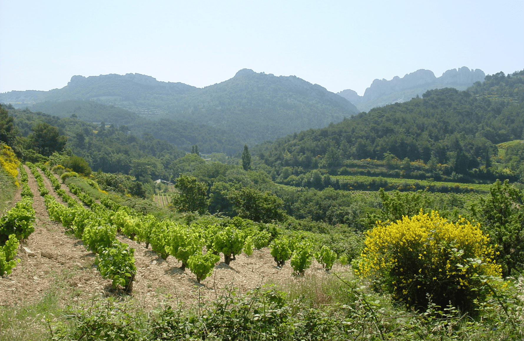 the story of Saint Cosme Castle