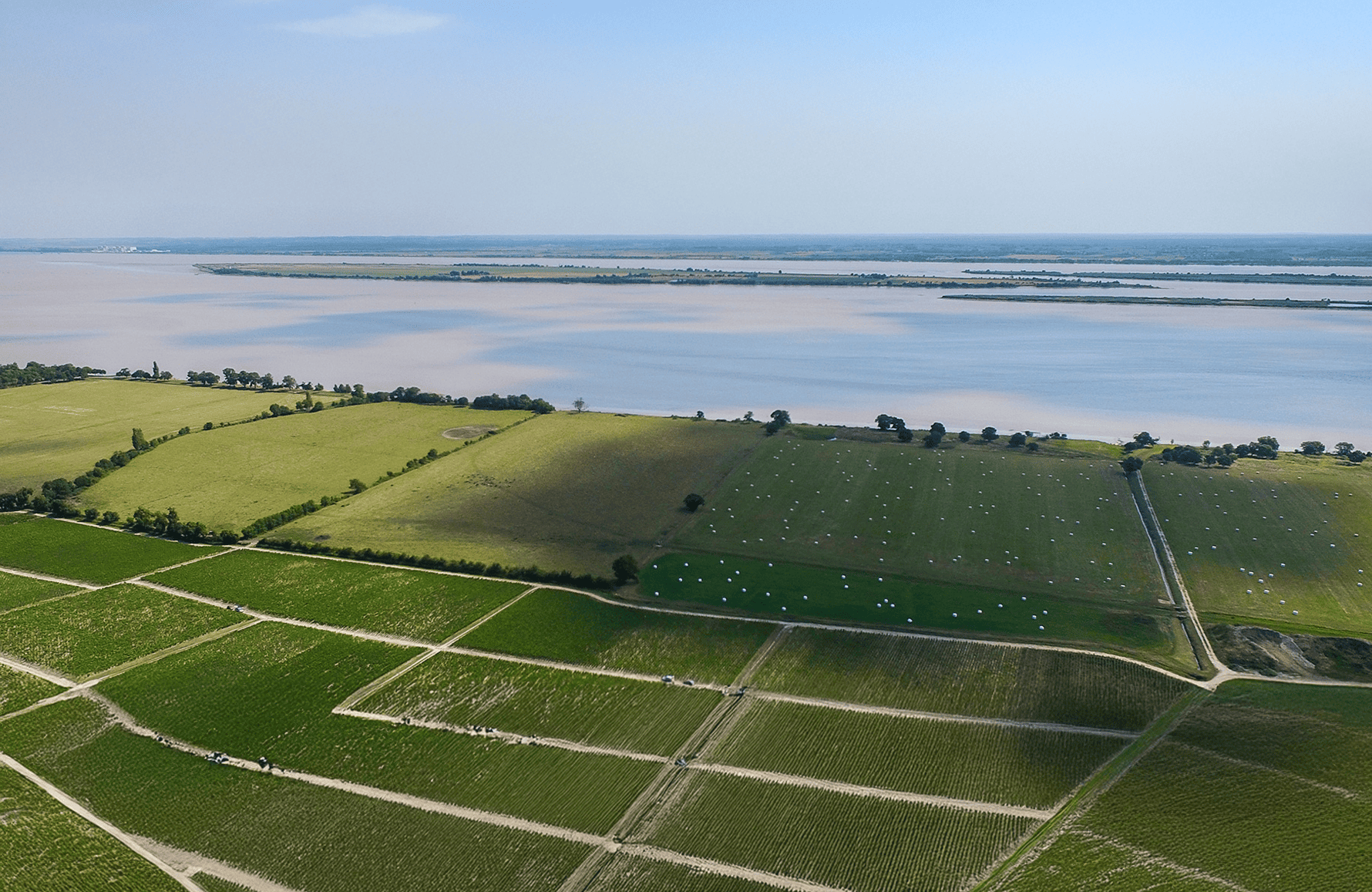 the story of Château Léoville Las Cases