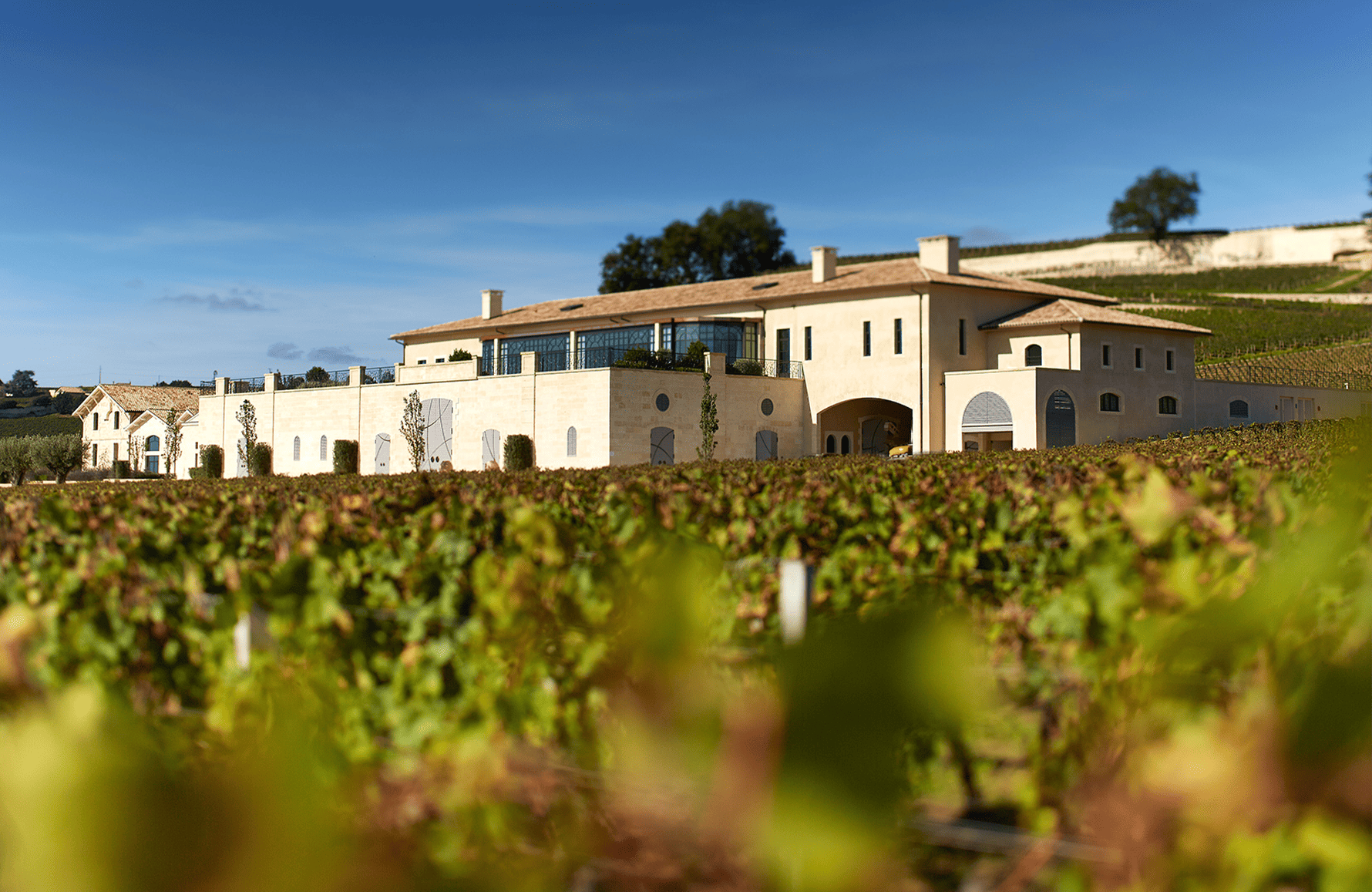 the story of Château Pavie Decesse