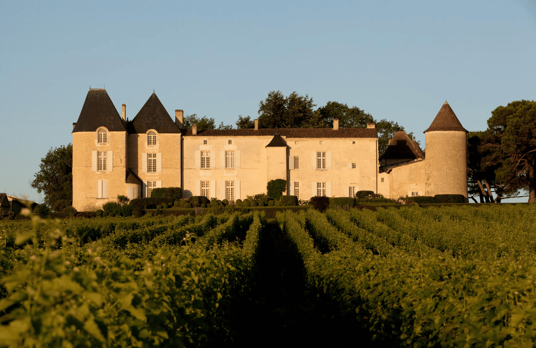 the story of Château d'Yquem