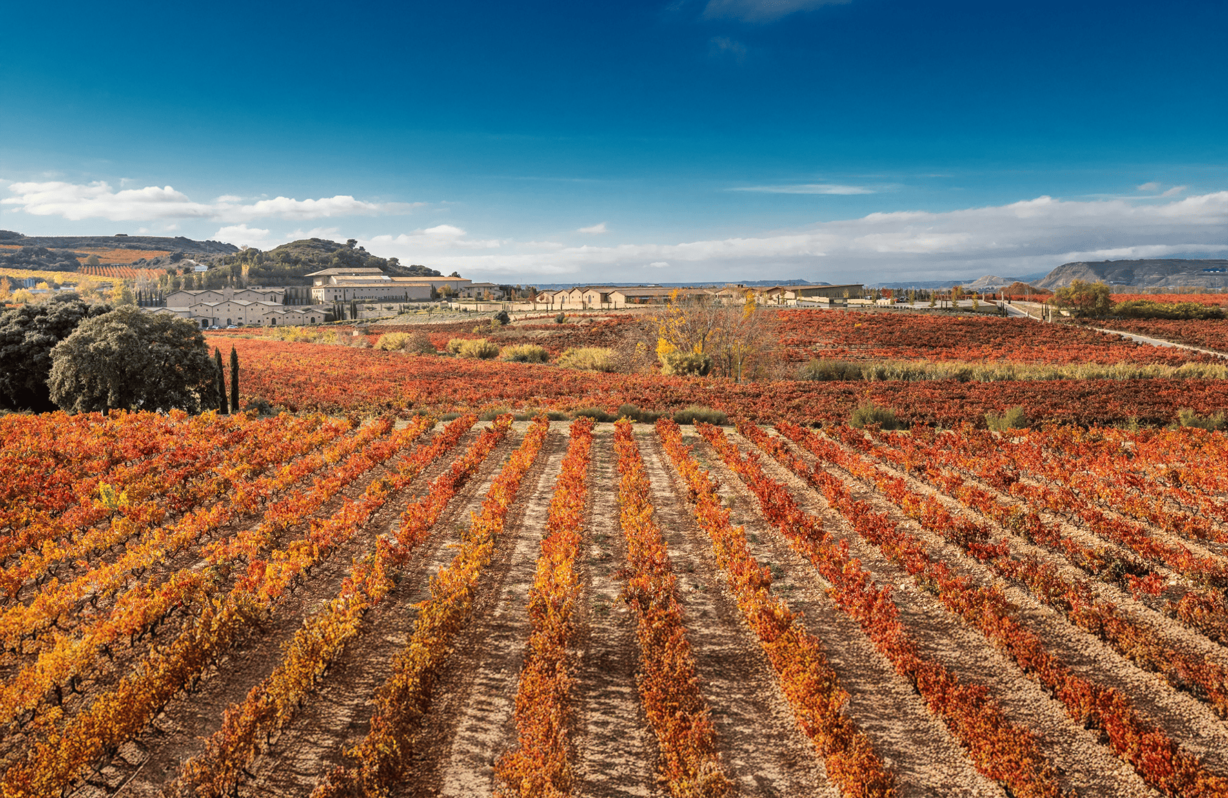 the story of Marques de Murrieta - Spain