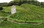 Domaine André et Mireille Tissot
