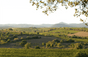 Domaine des Aurelles