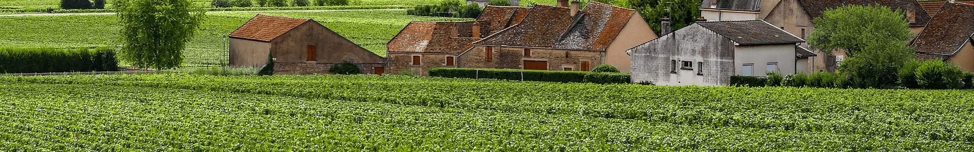 Domaine Michel Magnien