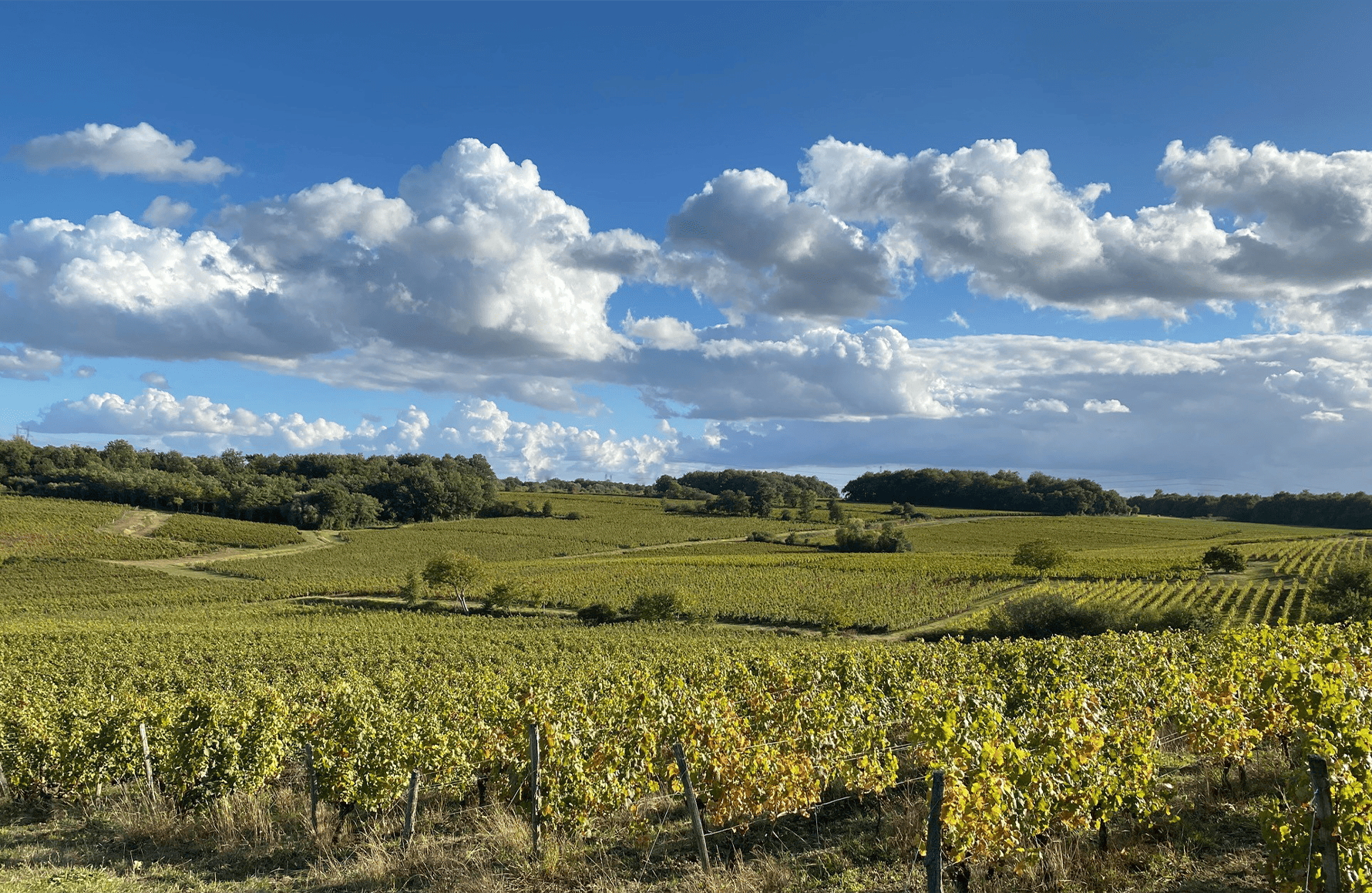 Domaine des Closiers