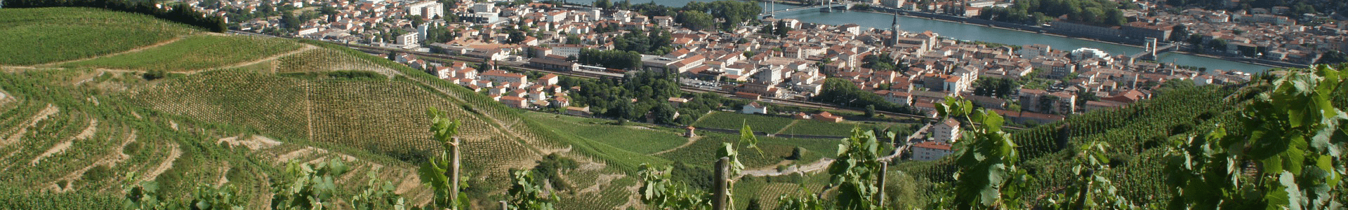 Domaine des Accoles