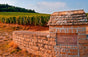 Comte de Vogüé Estate