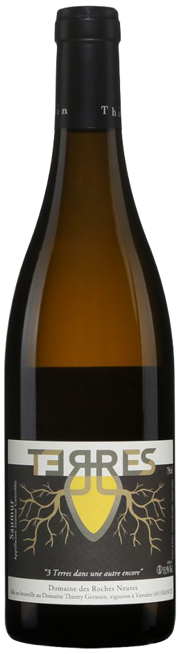 Domaine des Roches Neuves - Saumur vin orange Terres 2022