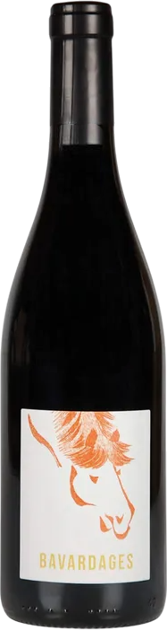Domaine Jeanne Germain - Saumur-Champigny Bavardages 2022