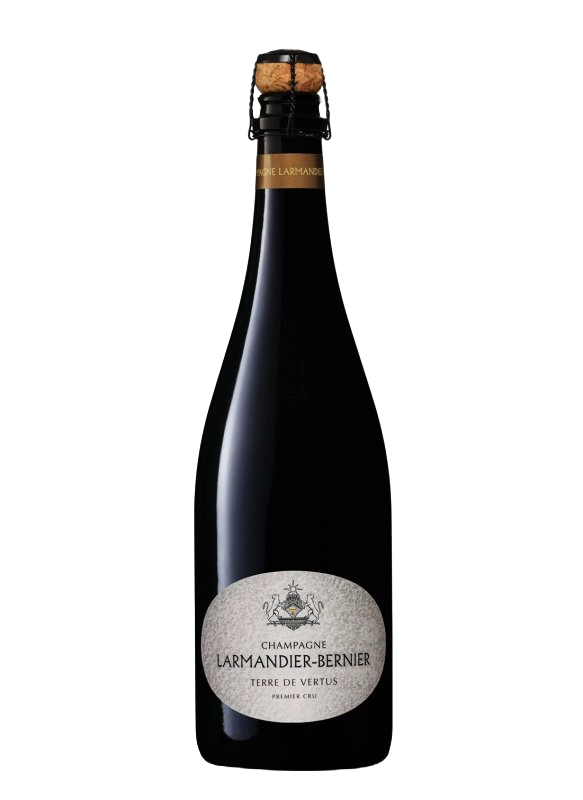 Champagne Larmandier-Bernier - Terre de Vertus - Blanc de Blancs 2017 - Champagne 1er Cru