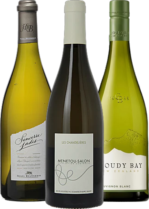 Caisse découverte - Sauvignon Blanc