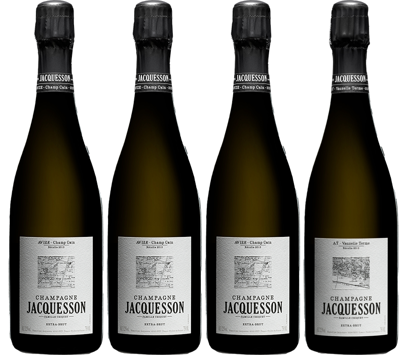  1 x Ay Vauzelle Terme NM) - Champagne