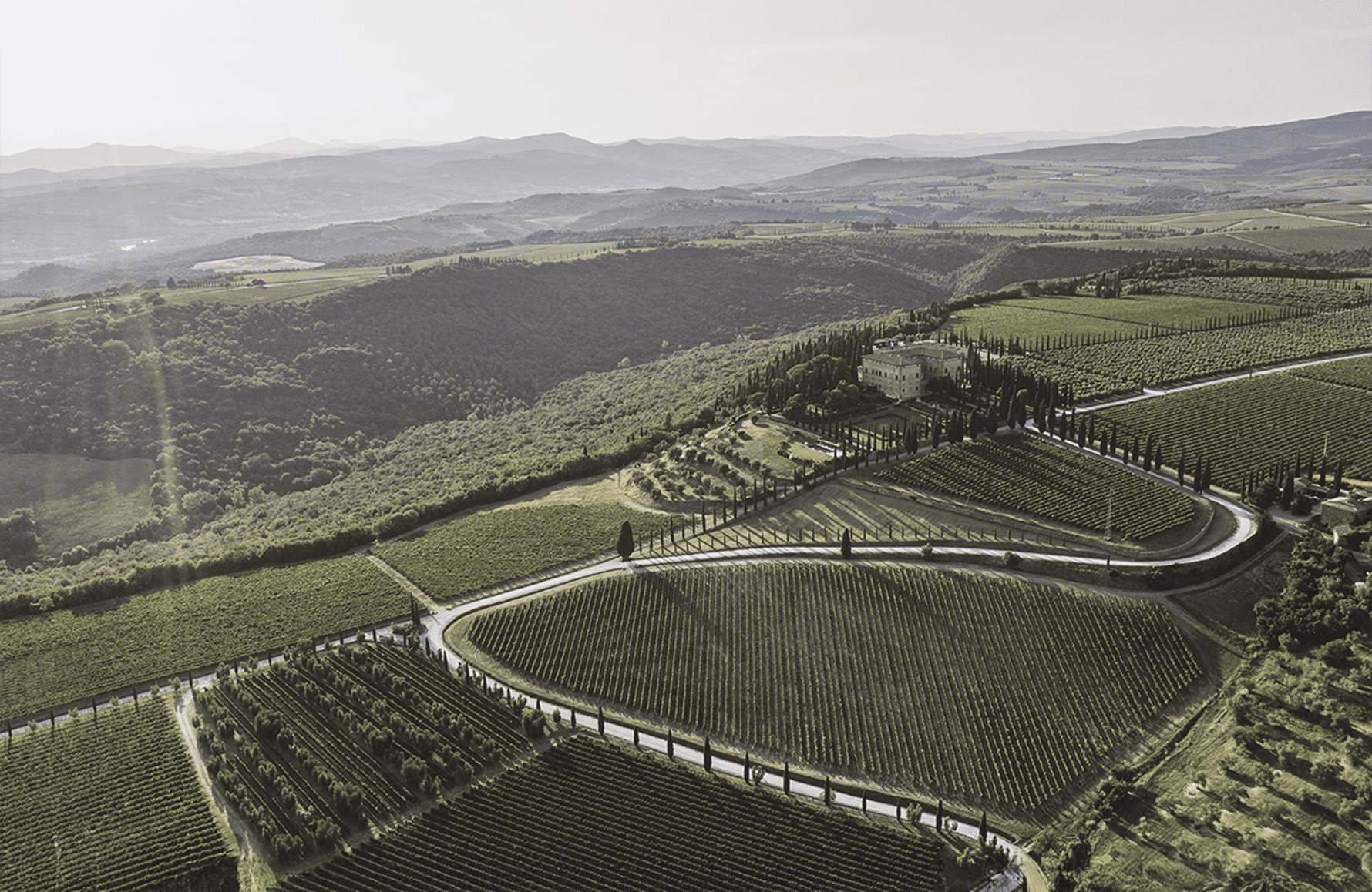 l’histoire du Argiano - Italie