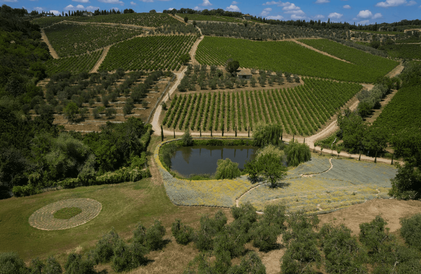 the story of Castello Di Ama - Italy