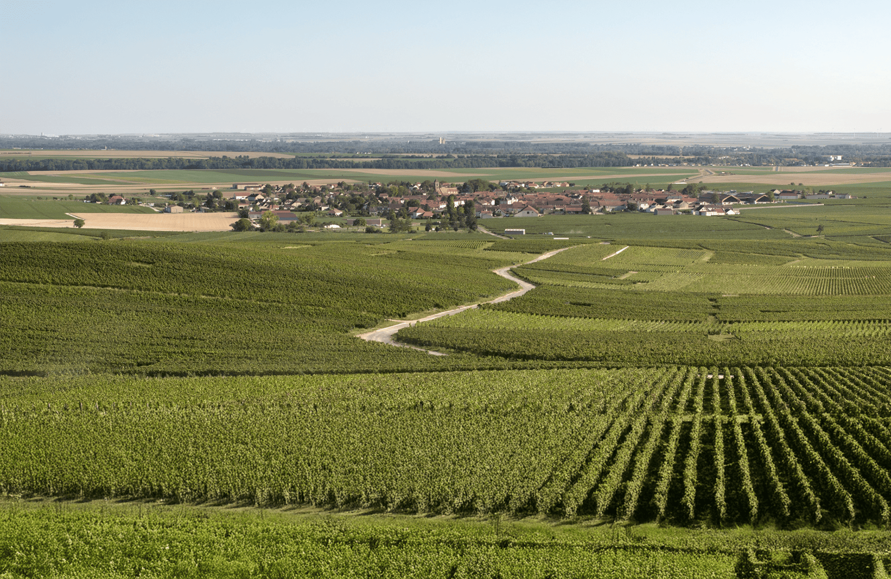 the story of Champagne Charles Heidsieck