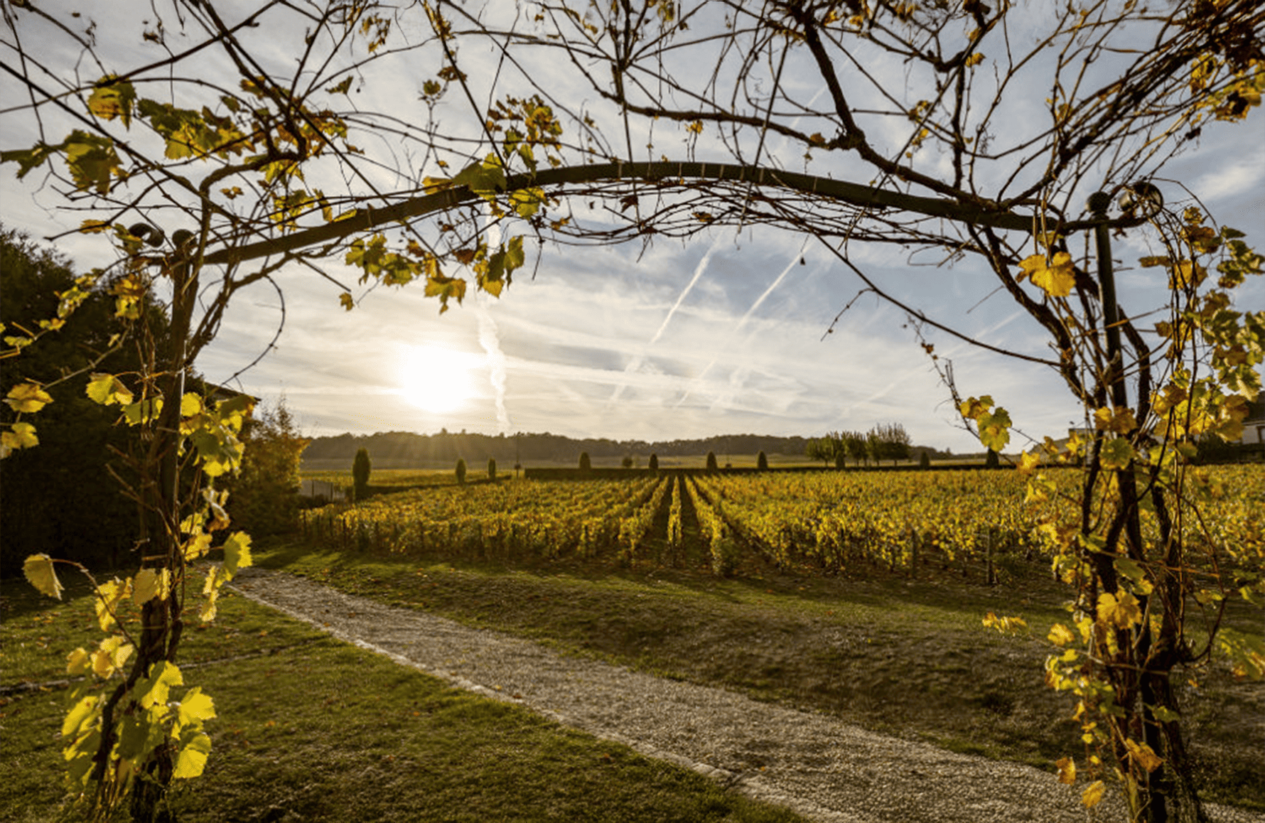 die Geschichte der Champagner-Salon