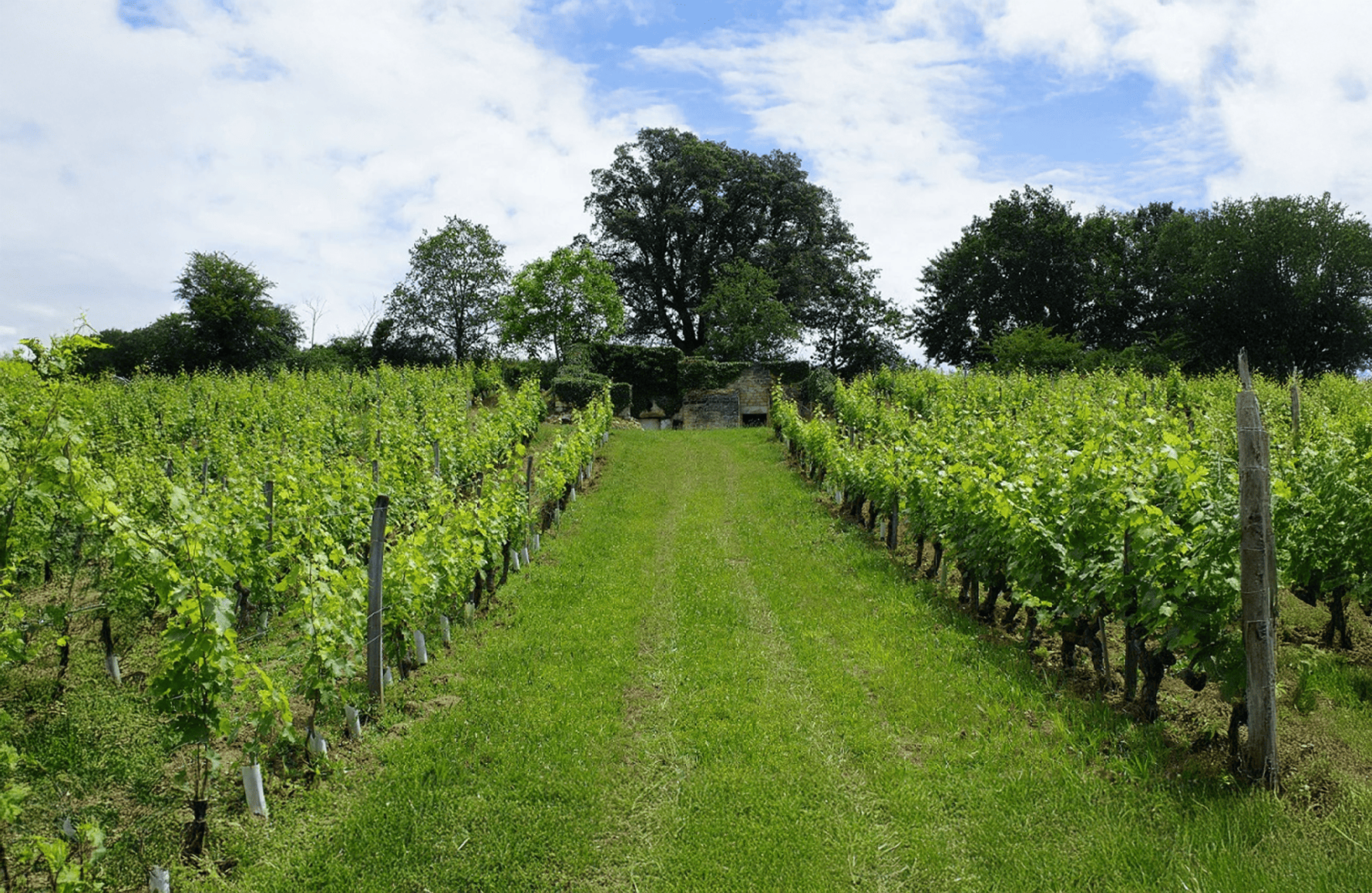 the story of Charles Joguet