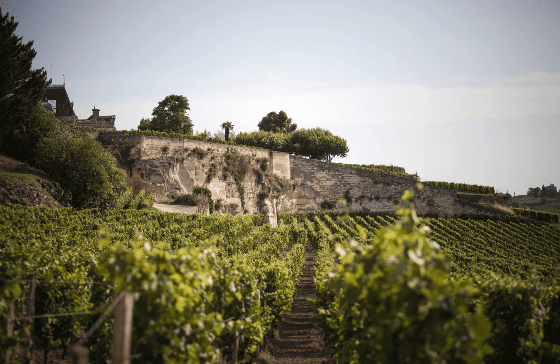 la storia di Château Ausone