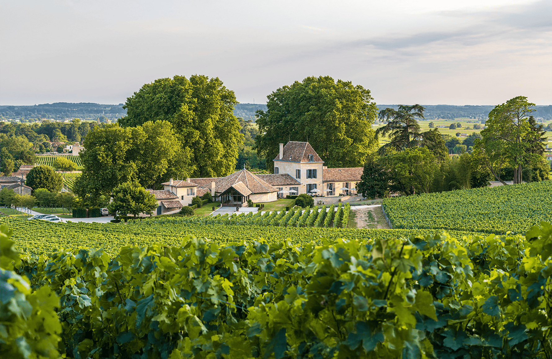 the story of Château Bellefont-Belcier