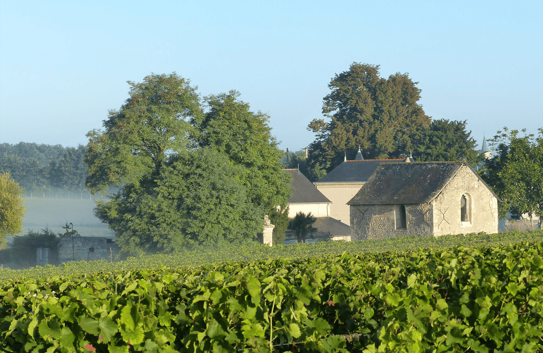 l’histoire du Château de Fosse-Sèche
