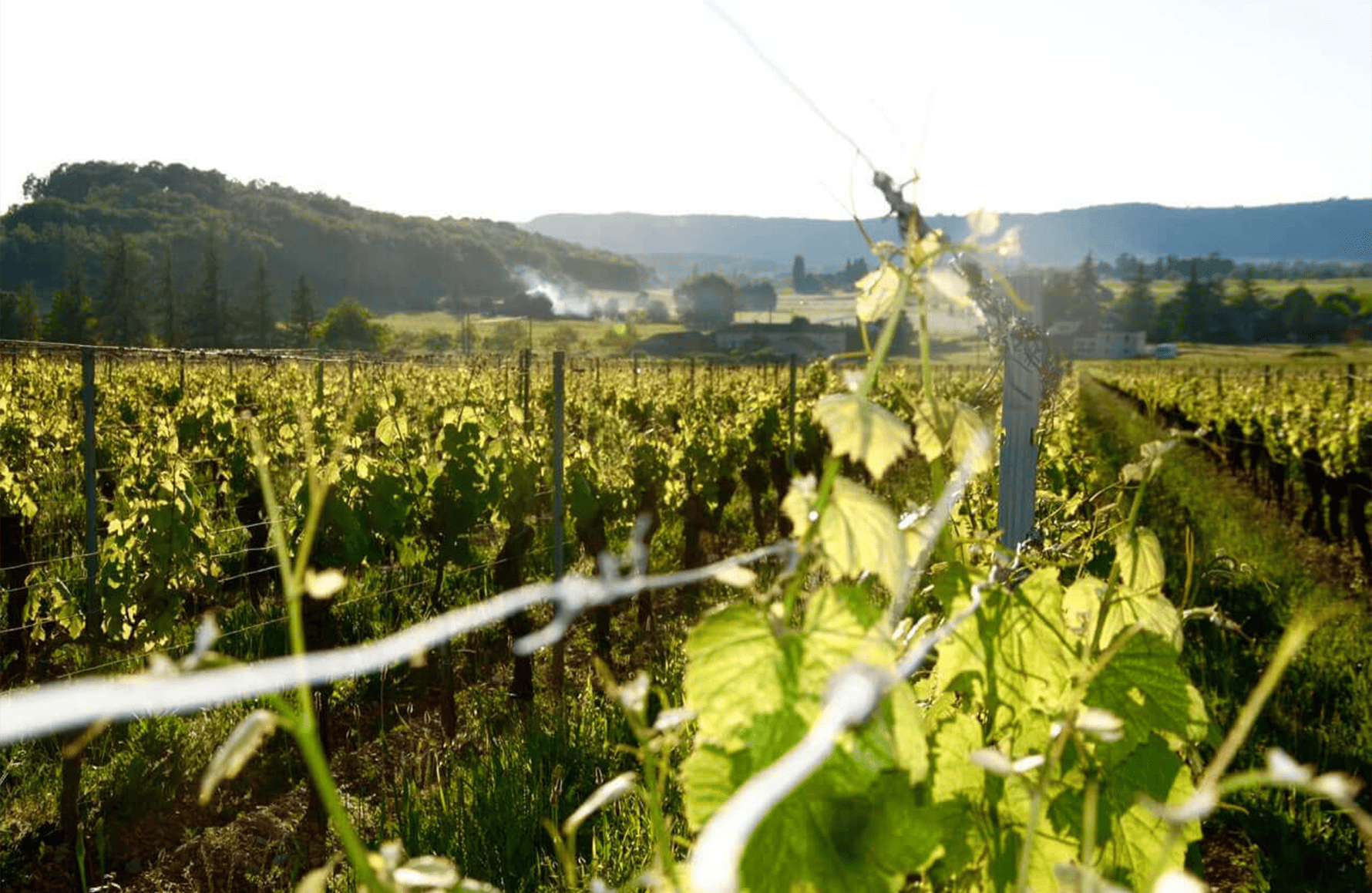 the story of Cedar Castle