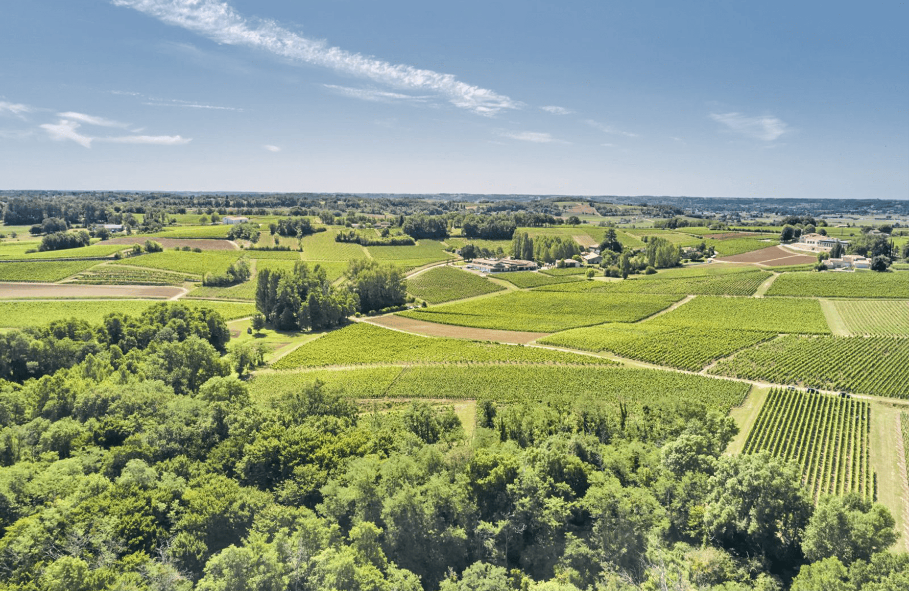 die Geschichte der Château Fleur Cardinale