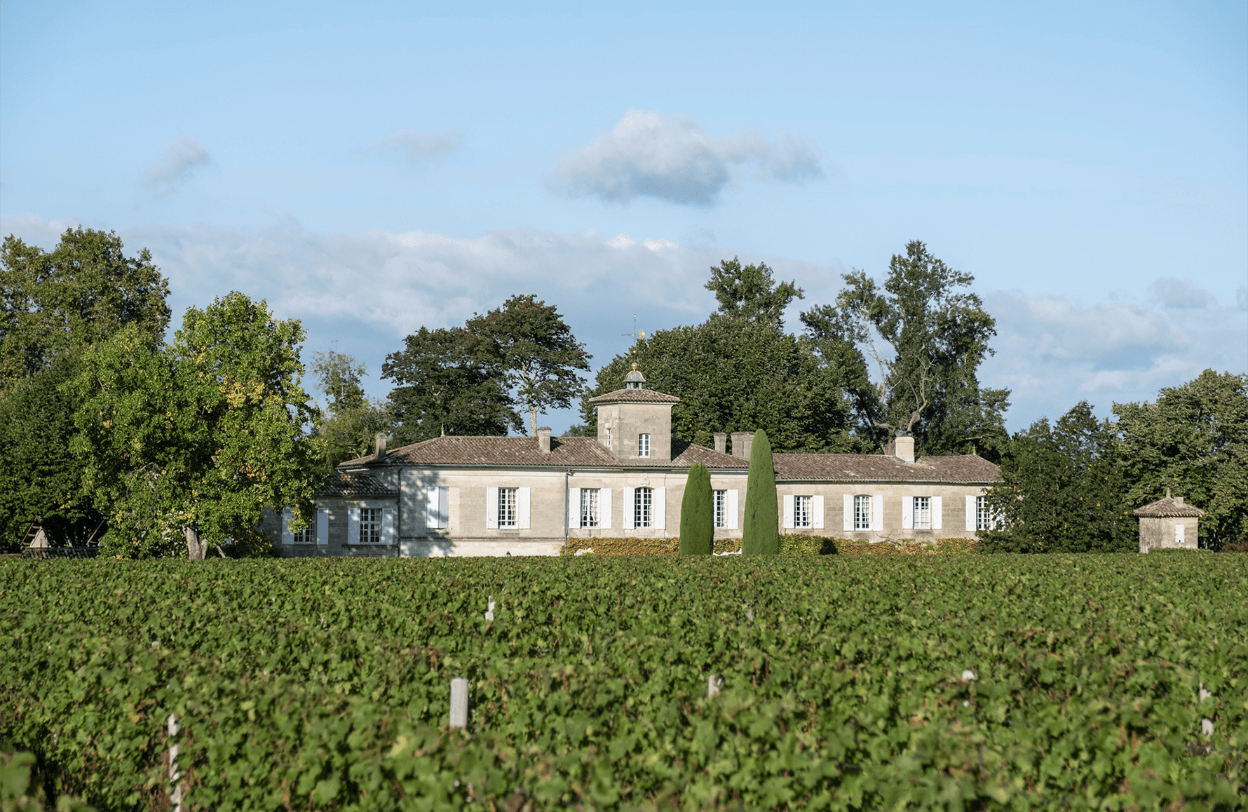the story of Château Gazin