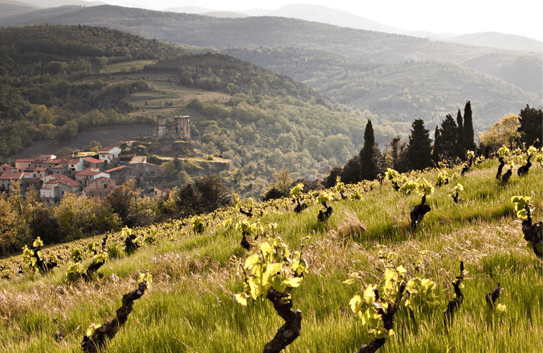 the story of The Soula