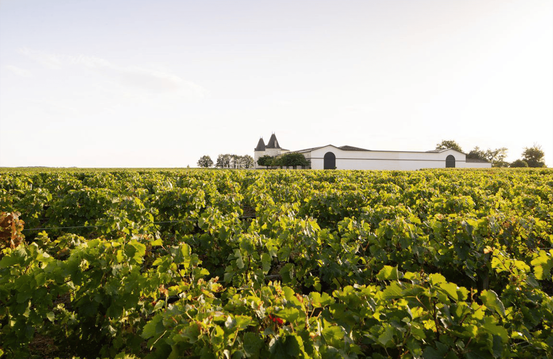 la storia di Château Lilian Ladouys