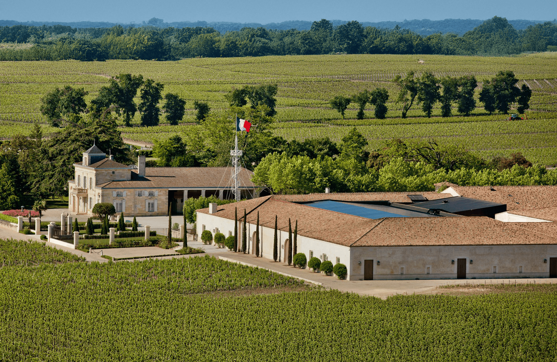 the story of Château Montrose