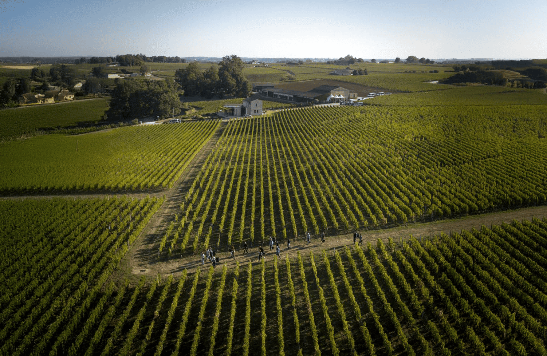 the story of Château Pavie Macquin
