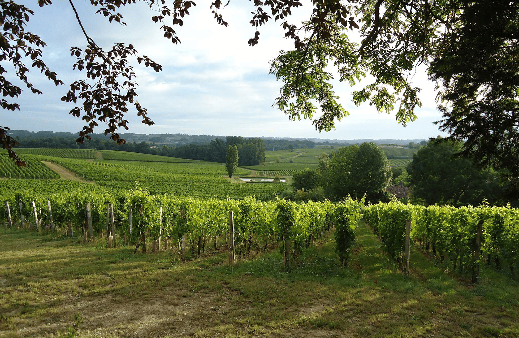 la storia di Château Valandraud