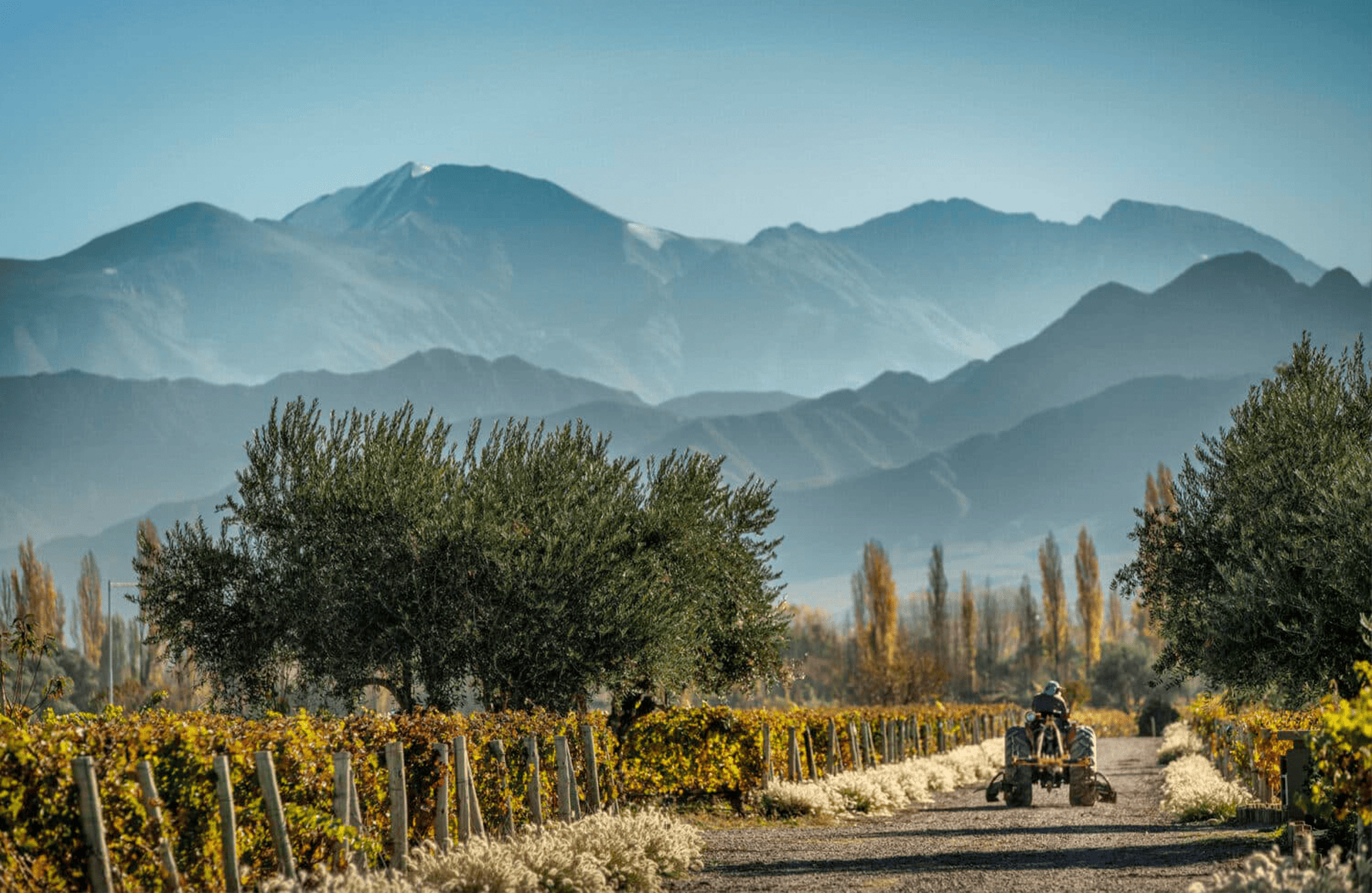 die Geschichte der Andenpferd - Argentinien