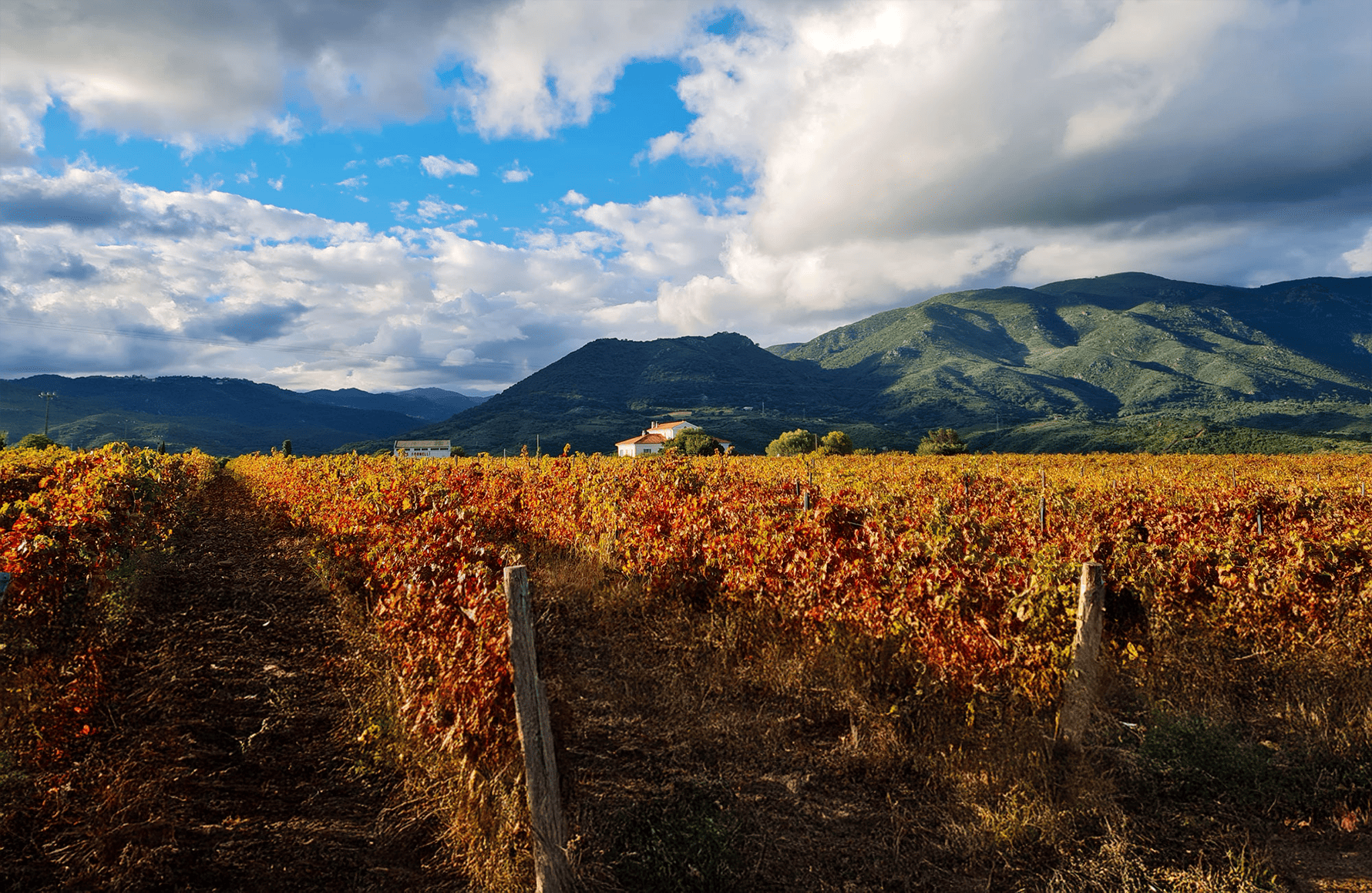 the story of Clos Fornelli