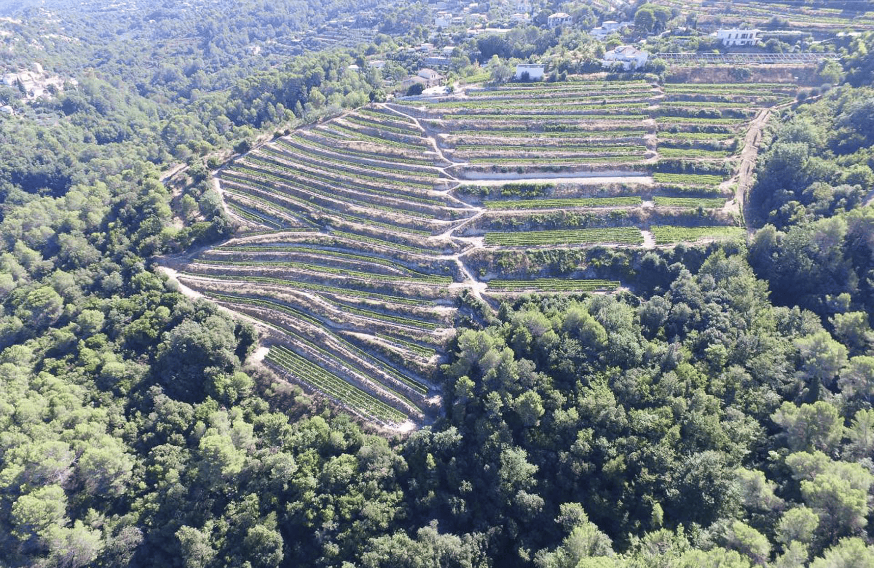 the story of Clos Saint Vincent