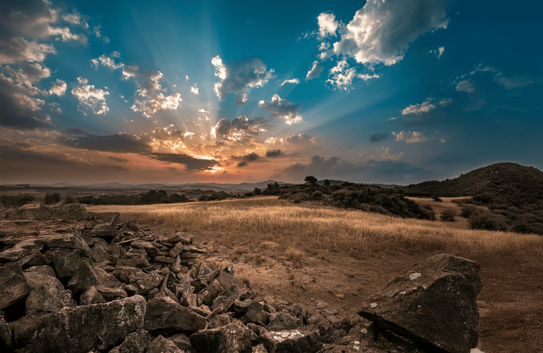 l’histoire du Domaine Anne Gros et Jean-Paul Tollot