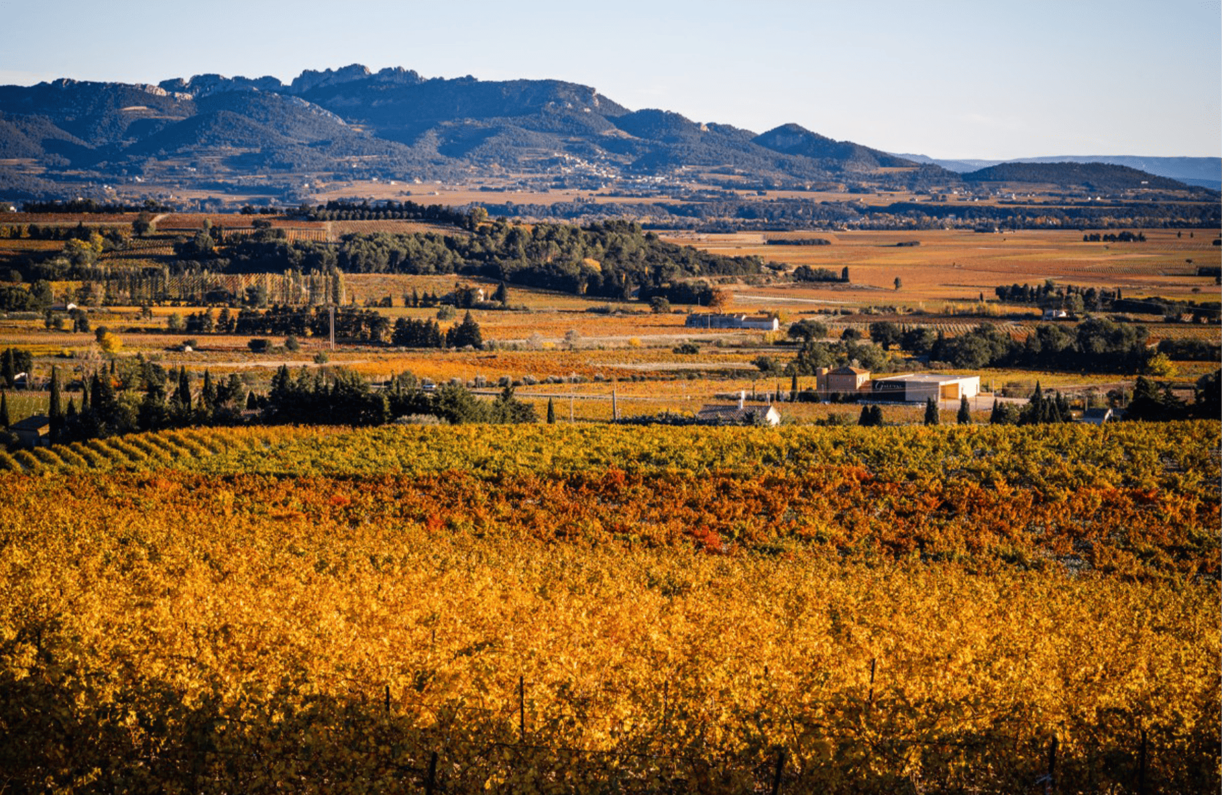 die Geschichte der Weingut Boisson