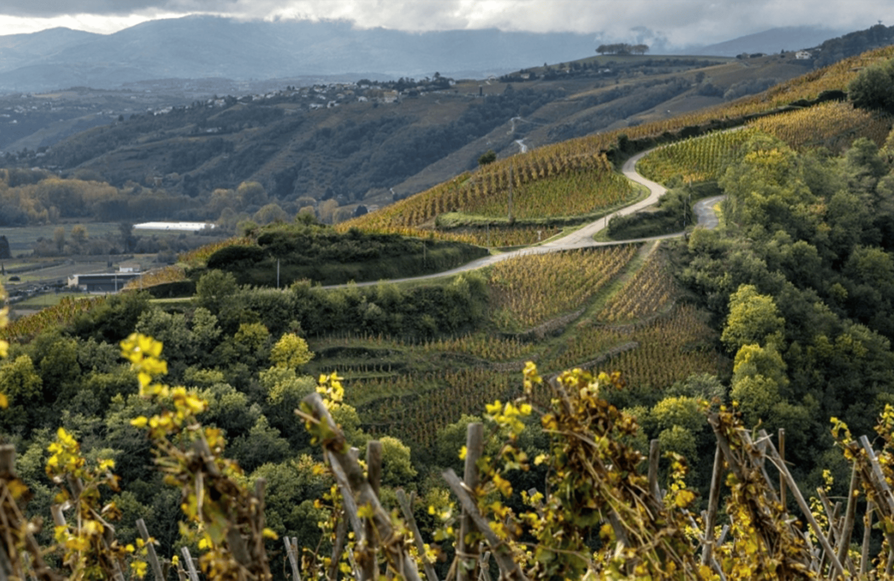 l’histoire du Domaine de Bonserine