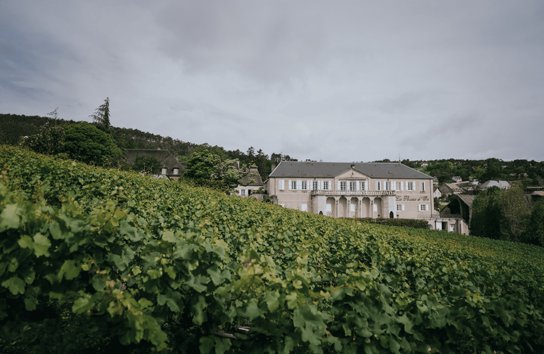 l’histoire du Domaine de La Pousse d'Or