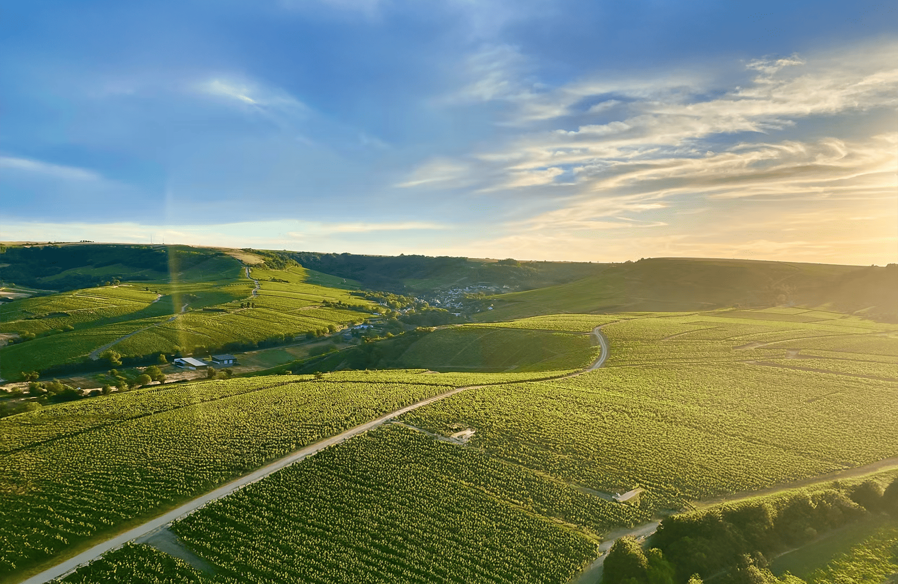 the story of Domaine Vincent Delaporte et Fils