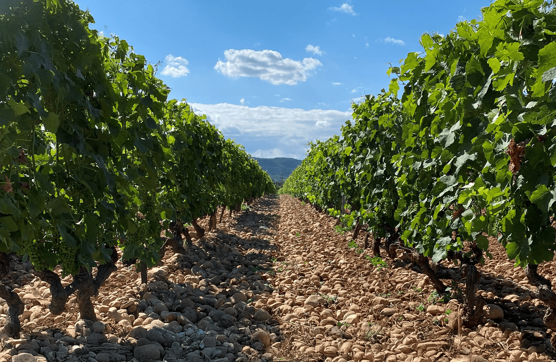 die Geschichte der Hauts-Châssis Estate
