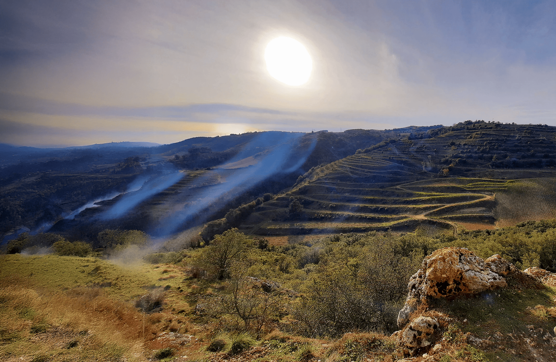 the story of Domaine du Coulet