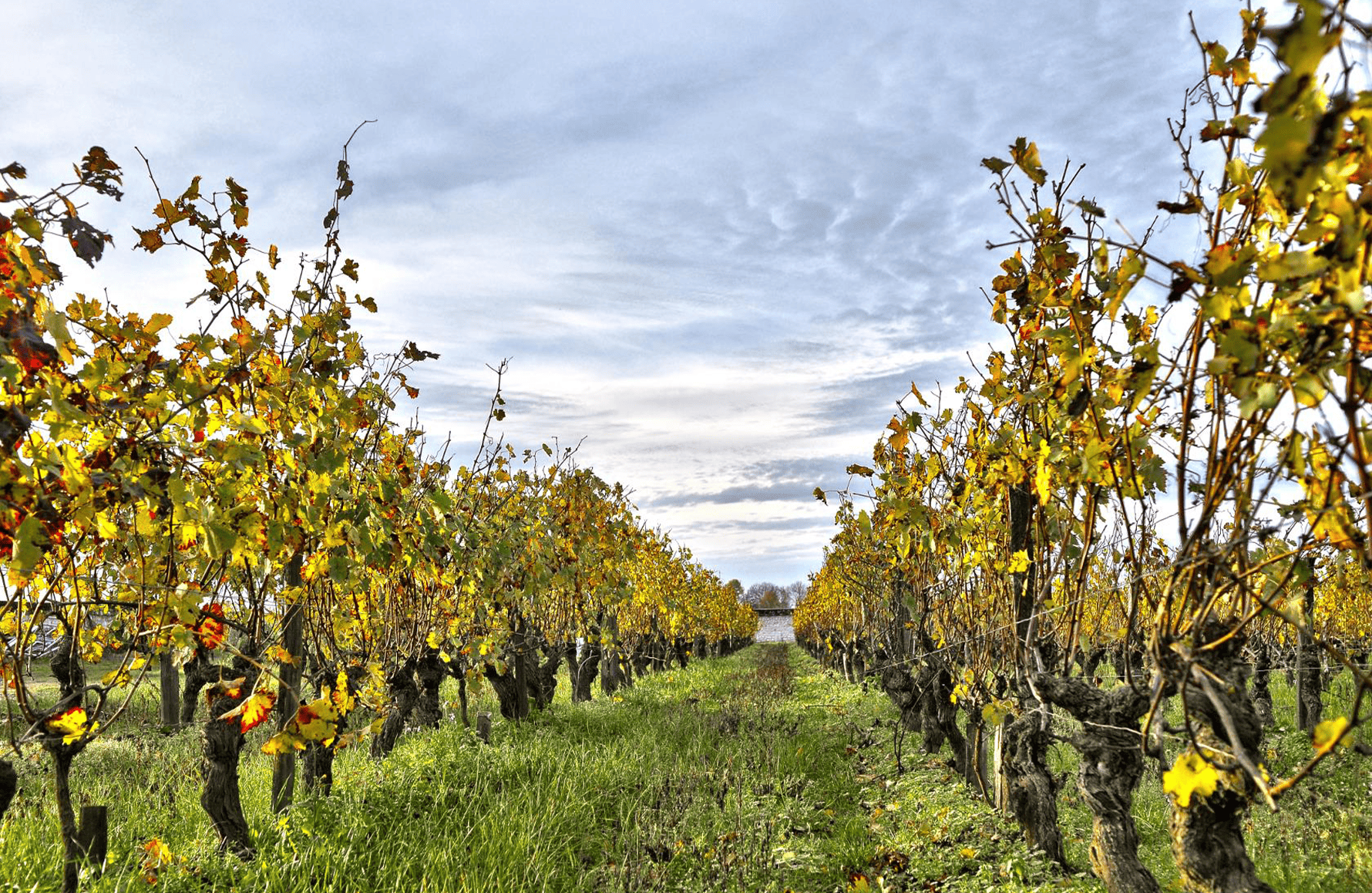 l’histoire du Domaine Fabrice Gasnier
