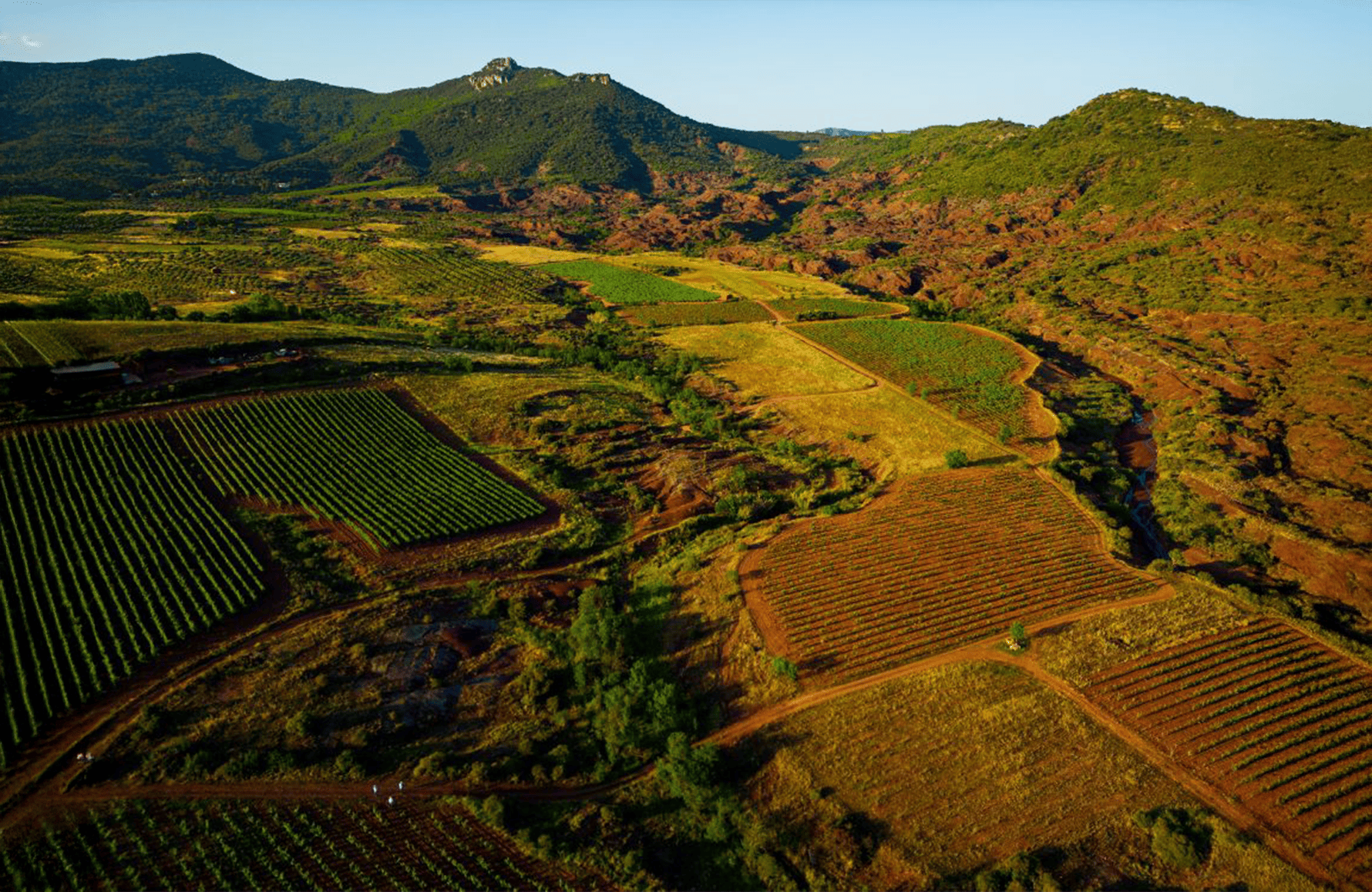 the story of Domaine Le Clos du Serres