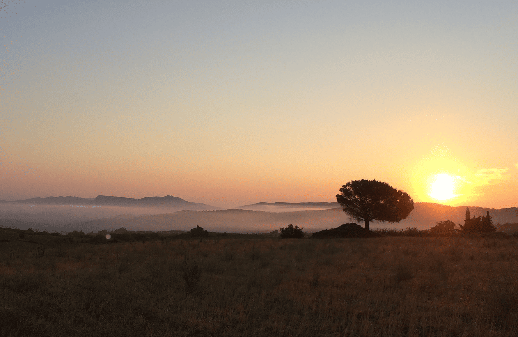 die Geschichte der Das Anwesen Roc of Angels