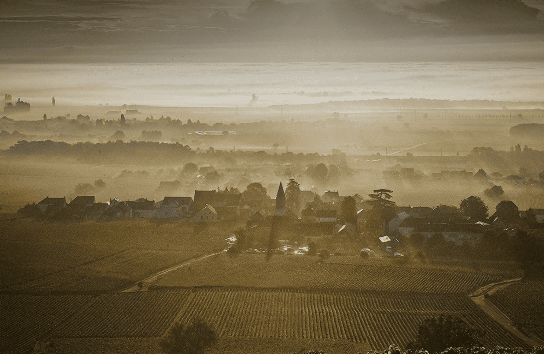 the story of Domaine Méo-Camuzet